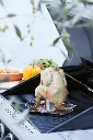 809d277bedb4b85db59a2bef63810f90acc7db0a_BC_ACC_7167__media_ambienceimage_2__ecommerce__en_GB.webp