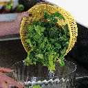 17090056_2.webp