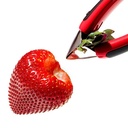 oxo aardbeienontkroner