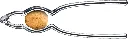 61y2TrHVXZL._AC_SL1500_.webp