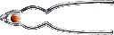 51+WeXwECaL._AC_SL1500_.webp
