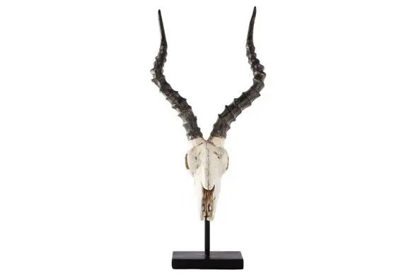 [234985] Schedel antilope resine H62cm